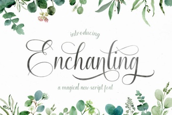 Enchanting Script Fonts for Creative Designs
